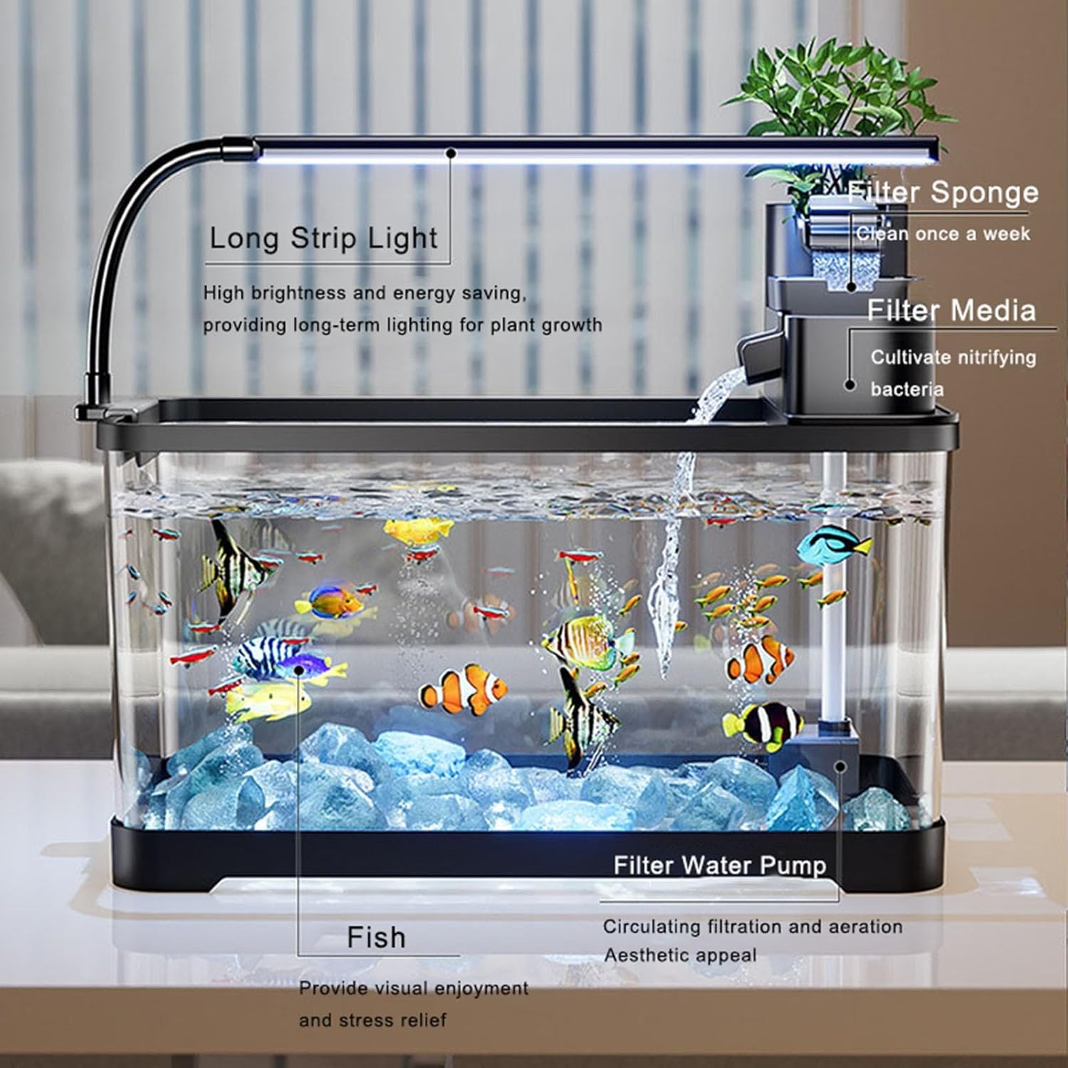 Tawatiler 4 Gallon Fish Tank, Aquarium Starter Kit with Filter and Light, All in One Small Fish Tank for Betta, Kids & Desktop Use - Image 2